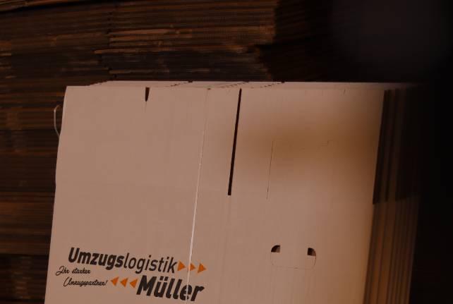 Günstiger Behördenumzug Elstertrebnitz