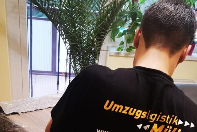 Preise für Ihren Studentenumzug in Elstertrebnitz